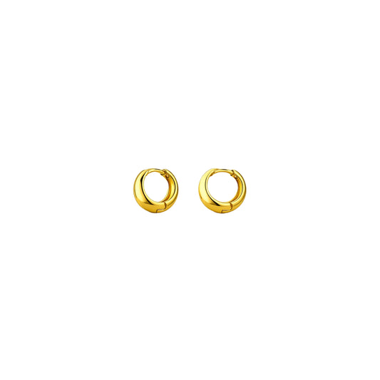 Aura Rings Earring