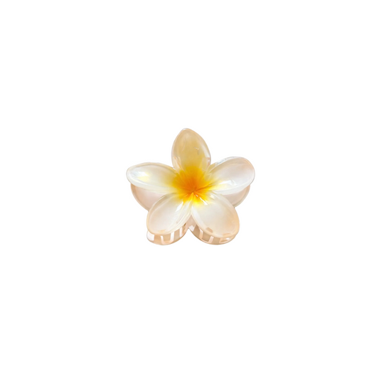 Orange Bloom HairClip
